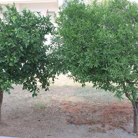 Apartamento Residenza Botticelli *