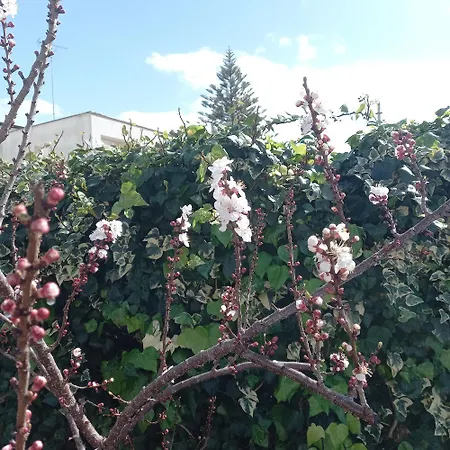 Apartamento Residenza Botticelli