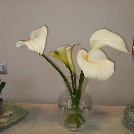 Residenza Botticelli Lecce