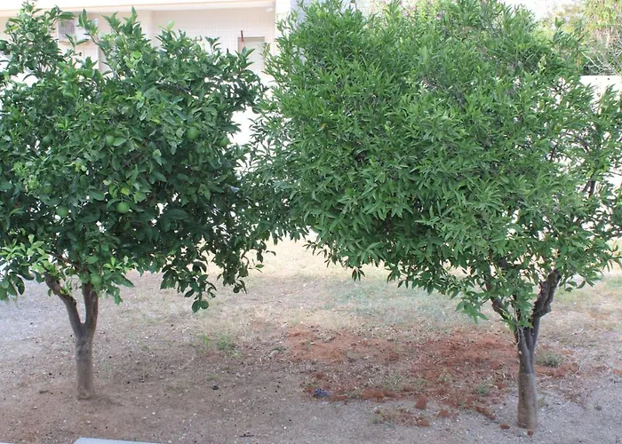 Appartamento Residenza Botticelli *