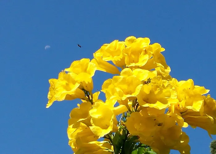 公寓 Residenza Botticelli *