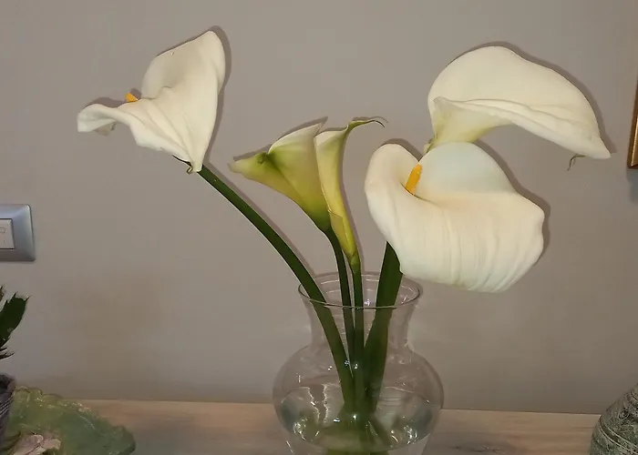 Residenza Botticelli 莱切